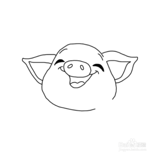 第四步:画上小猪胖胖的脸和耳朵.