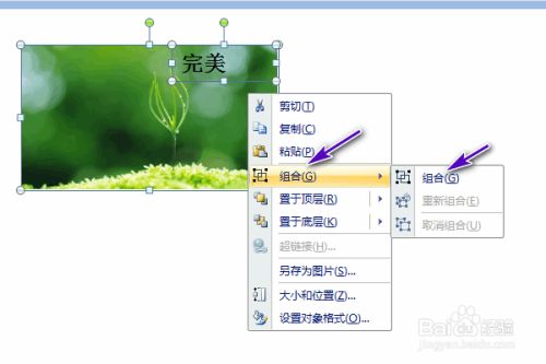 ppt怎么组合图片和文字
