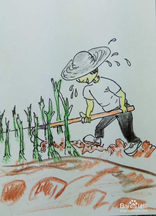 4 再用水彩笔画出农民洒落的汗滴,他正在努力的进行田滗劳作.