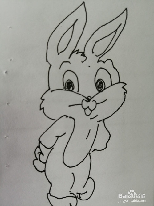 长耳朵可爱小兔子怎么画