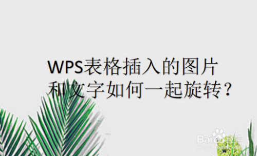 wps表格插入的图片和文字如何一起旋转?