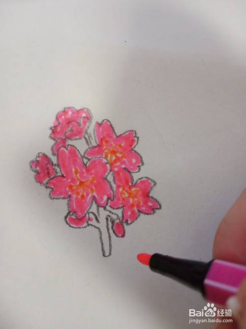 樱花怎么画简单又漂亮