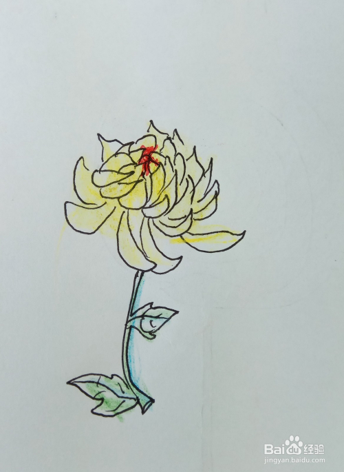 怎样画儿童简笔画"红心黄菊花"?