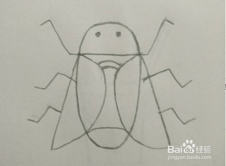 如何画简笔画——苍蝇