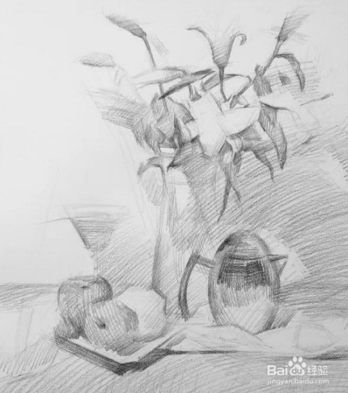 素描花卉静物素描步骤