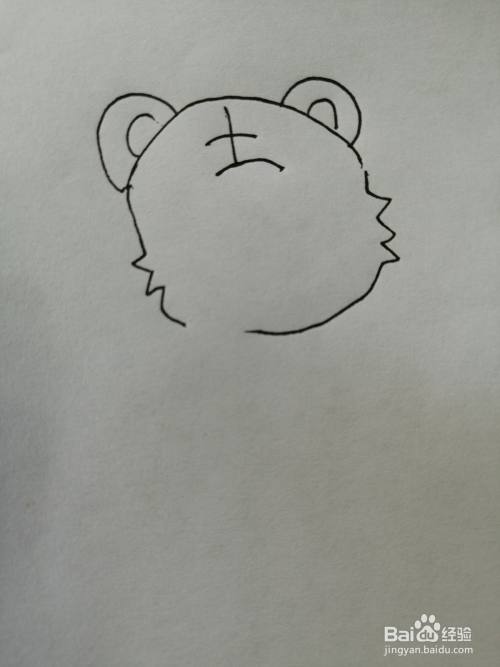 第二步,接着继续画出可爱的小老虎头上的王字花纹,画法也比较简单.