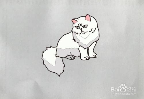 【简笔画】波斯猫的画法