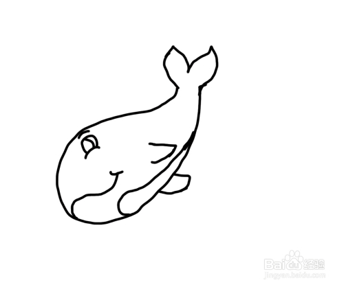 怎么画简笔画鲸鱼