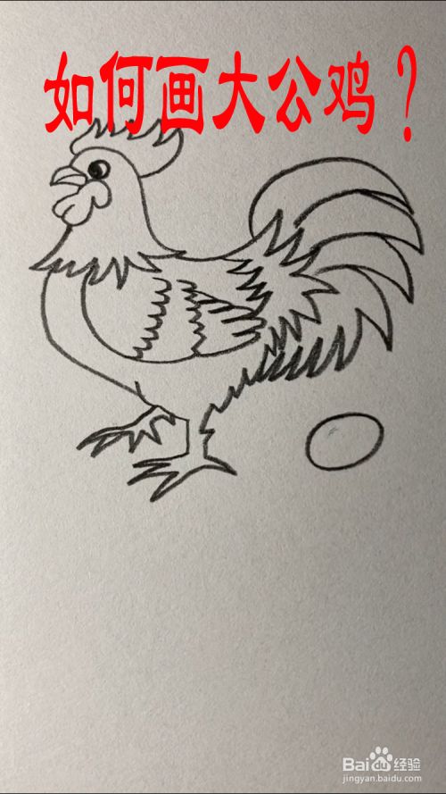 如何画大公鸡?