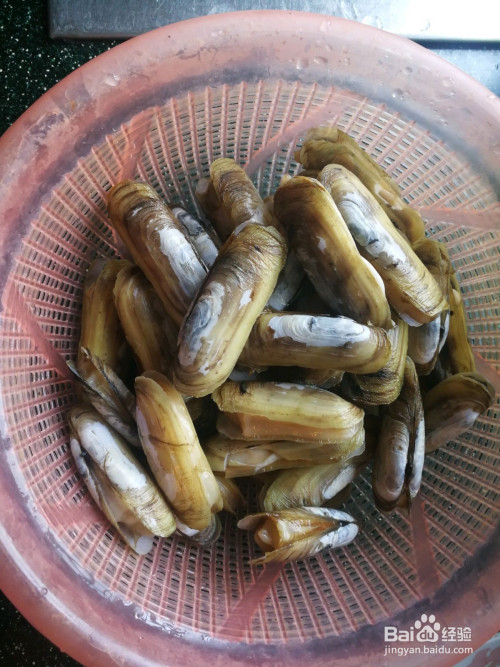 蛏子放在水里吐净泥沙,用小刷子洗净外壳