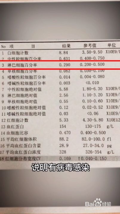 如何解读血常规的化验单