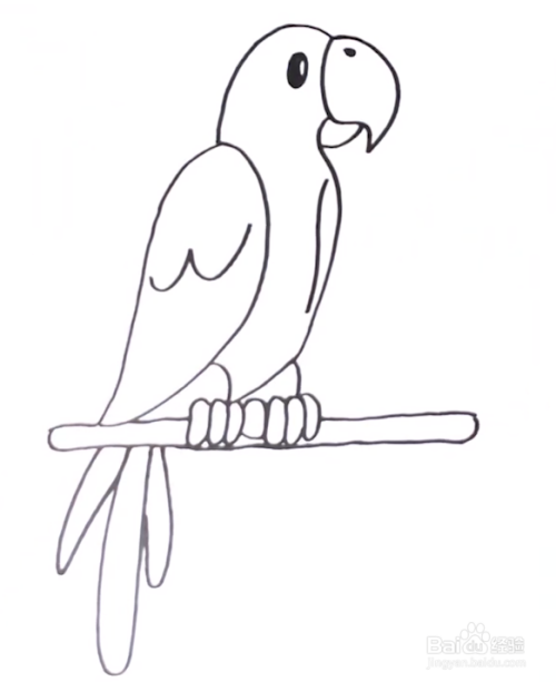 少儿简笔画如何用彩笔一笔一笔画鹦鹉