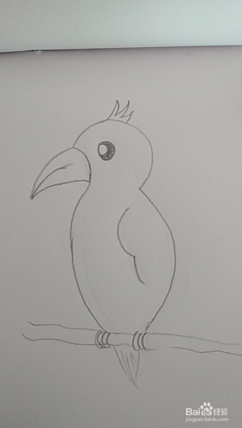 多妈简笔画用3来画一只鸟鹦鹉