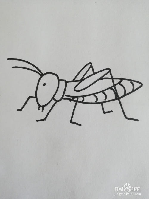 怎么画蟋蟀的简笔画