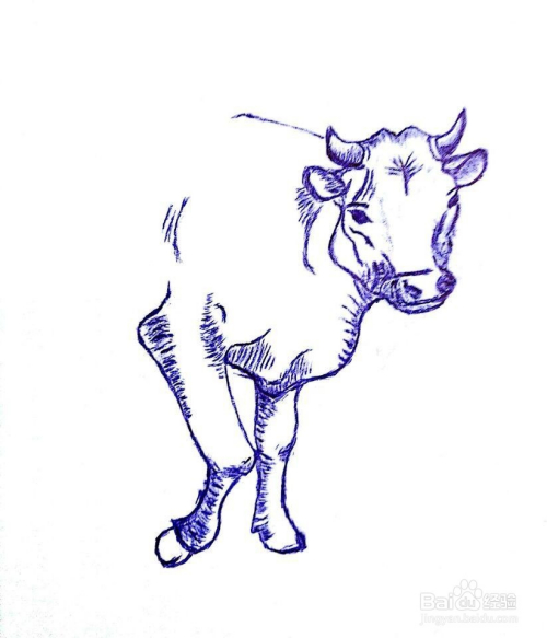 《牛》圆珠笔画