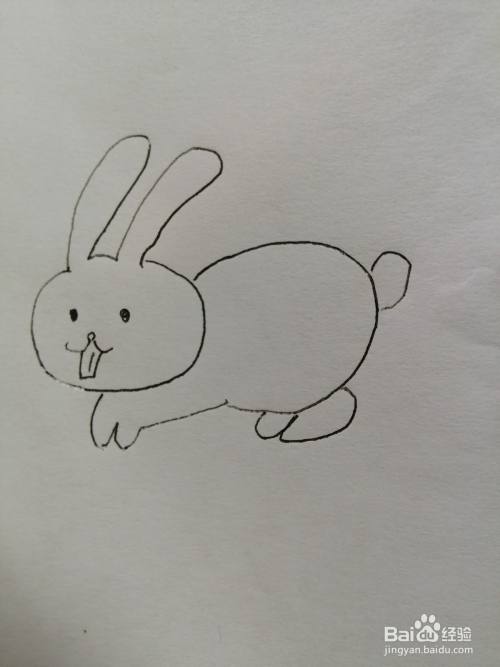 下面,小编和小朋友们一起来分享可爱的小兔子的画法.