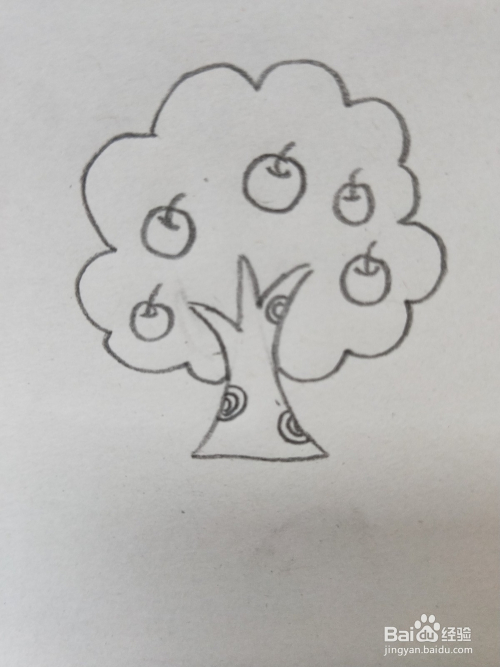 苹果树的简笔画教程