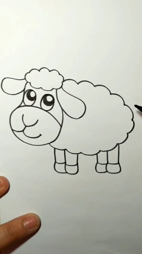 简笔画小绵羊怎么画