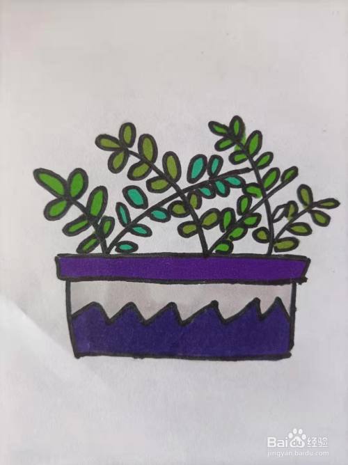 绿色小盆栽怎么画?
