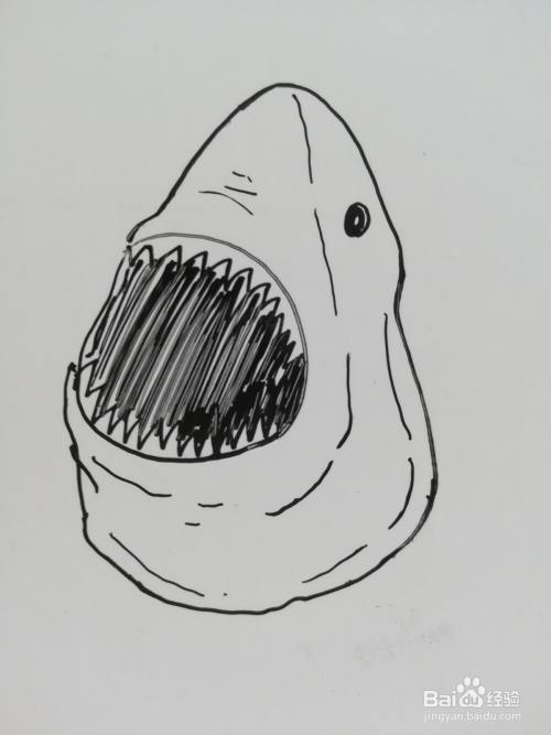 怎么画鲨鱼脑袋