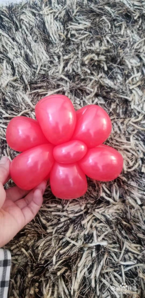 我爱气球之魔术气球--如何编制花朵
