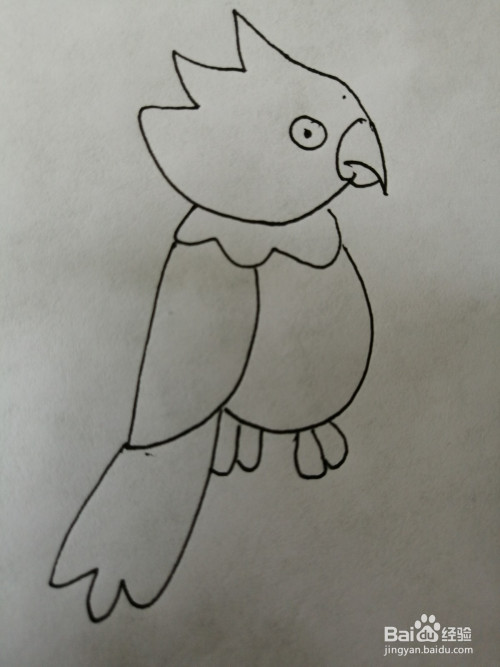 一张纸 一支笔 方法/步骤 1 第一步,我们先画出可爱的小鹦鹉的头部