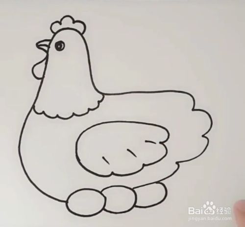 如何画下蛋母鸡?