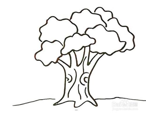 画大榕树的儿童卡通简笔画教程