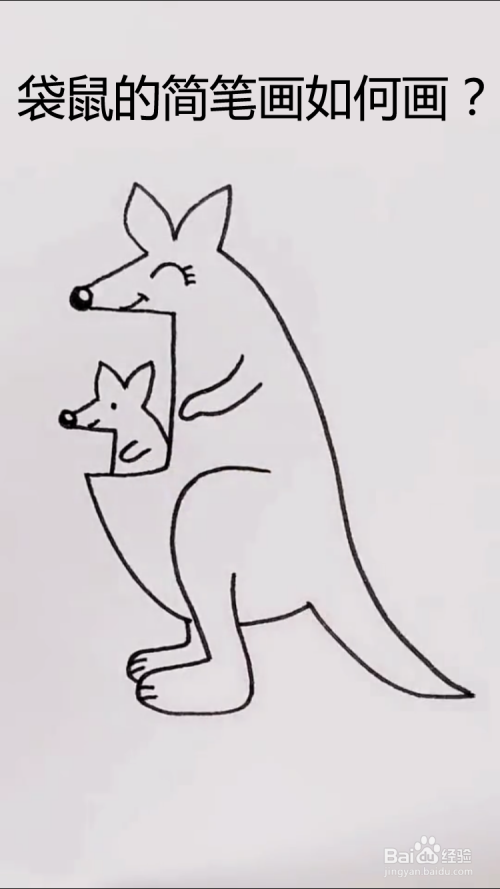 袋鼠的简笔画如何画?