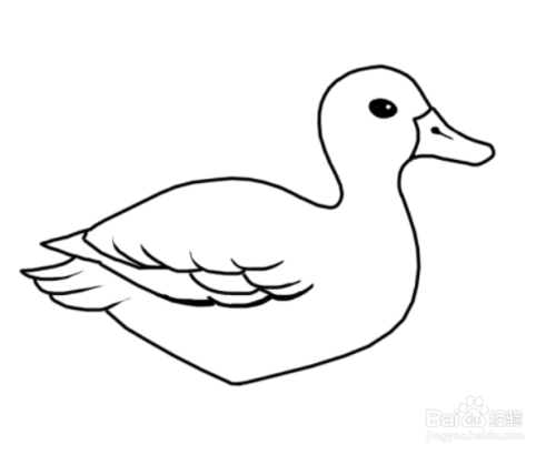动物简笔画之鸭子的简笔画画法