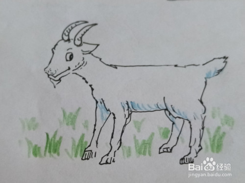 今天和大家分享一下画山羊的简笔画步骤,希望大家喜欢
