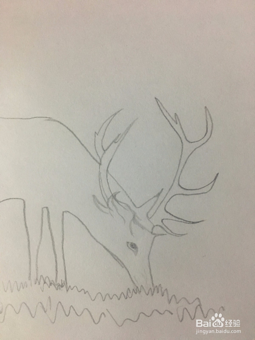 圣诞节麋鹿简笔画 教你画一只低头吃草的麋鹿