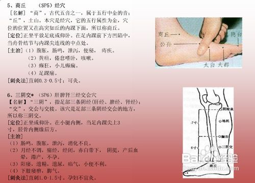 中医经络知识之足太阴脾经图解