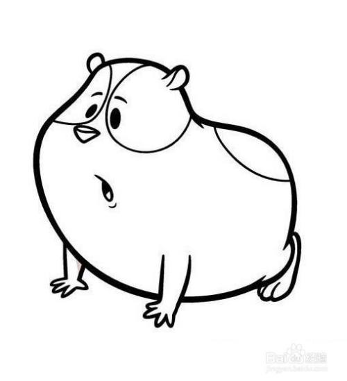 胖胖的豚鼠的简笔画