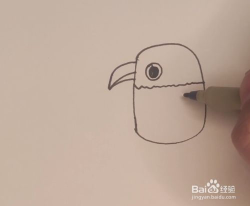 简笔画怎么画一只鹦鹉
