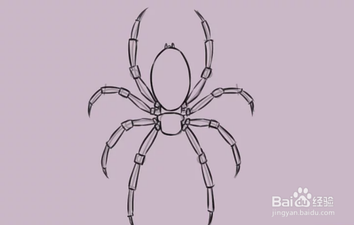 7 画小小的圆作为蜘蛛的眼睛,在蜘蛛的头上画出凸起的形状作为蜘蛛的