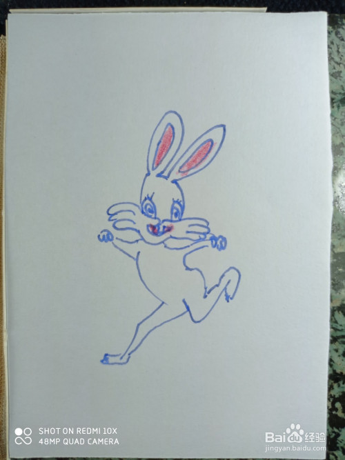 怎样画简笔画奔跑的小兔子?