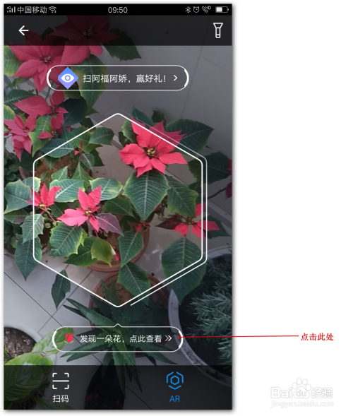 支付宝ar扫花识花