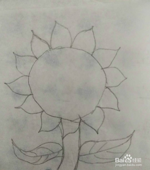 向日葵花怎么画呢