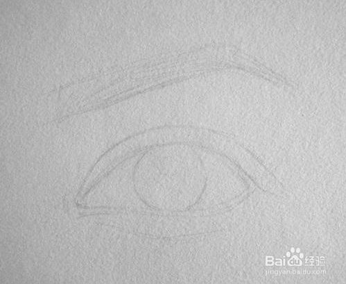 先用hb铅笔绘制眉毛眼睛的大致轮廓,下笔要轻,要注意眉毛与眼睛的