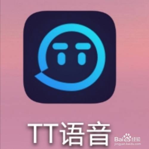 互联网工具/原料 tt语音 方法/步骤 2 来到首页点击右下角的头像