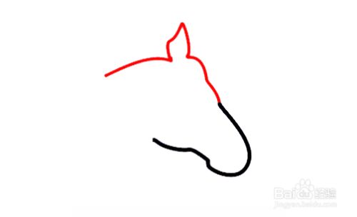 如何画马-分步教程