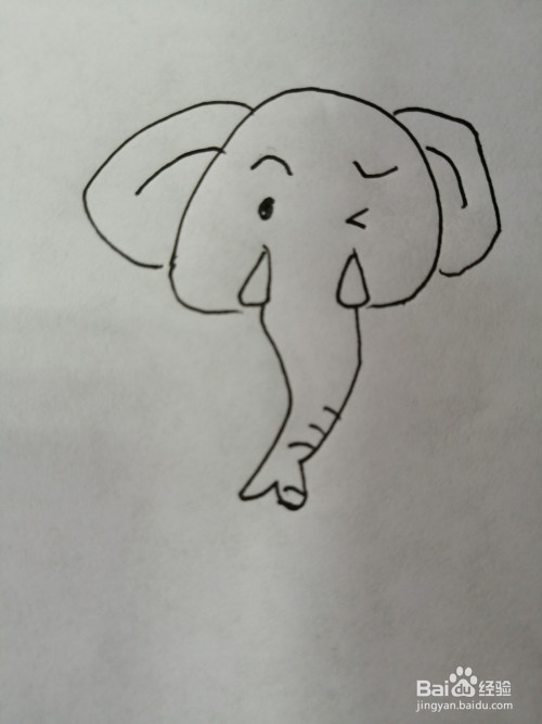 第六步,接着在简笔画可爱的大象的头部两边画出两只大耳朵,注意耳朵