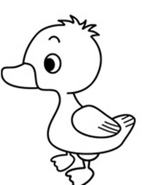 怎么画可爱的鸭子