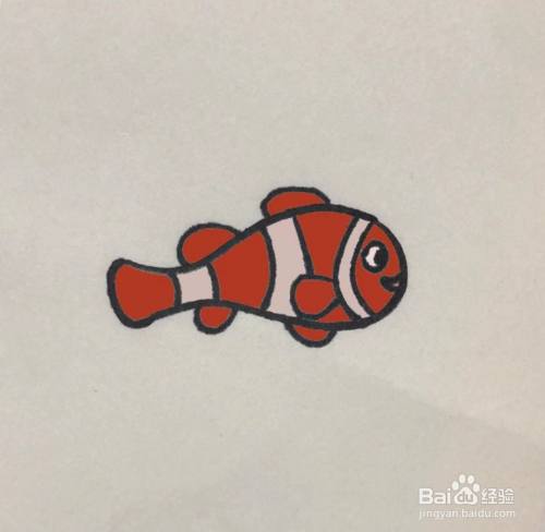 最后涂上颜色,一条简单又可爱的小丑鱼就画好了.