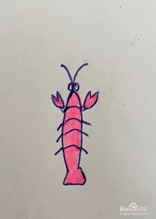 如何画虾的简笔画?