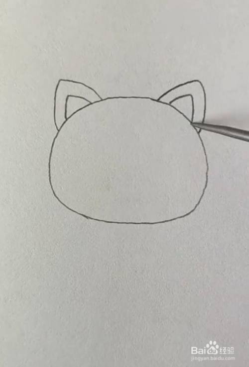 先画一个圆,画出猫咪的头部,在画上耳朵.