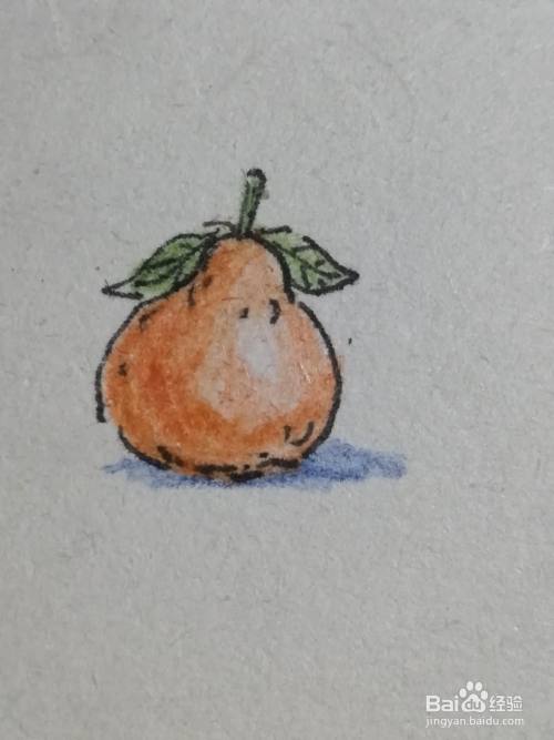 如何画丑橘彩铅简笔画