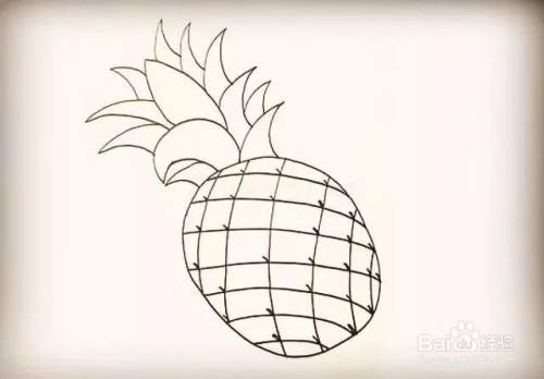 菠萝的简笔画教程