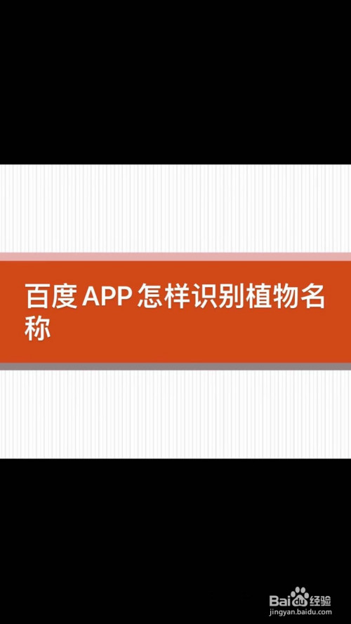 百度app怎样识别植物名称